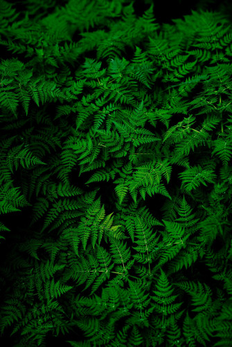 Best Ios Wallpaper 4k And Official Dataconomy
