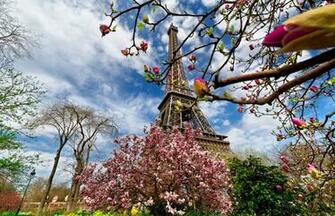 Paris In Summer