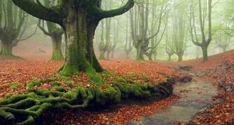 Spain Rosa Isabel Vazquez Plainpicture Bing United States