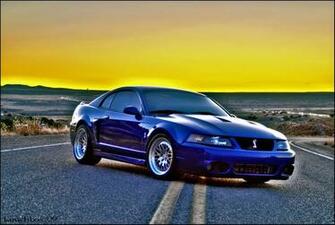 Mustang Cobra Honda Tech
