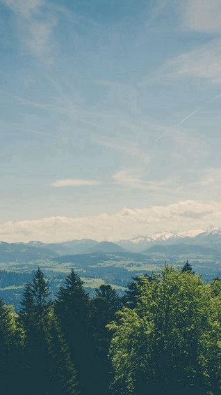 Green Land Sky Blue Summer Nature iPhone 5s Wallpaper