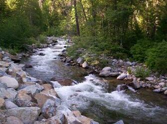 Trout Stream Wallpaper Mountain Streams And Creeks