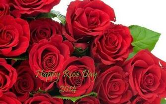 Happy Rose Day Image Wallpaper Wishes