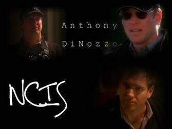 Ncis Wallpaper