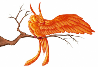 Phoenix Bird Cool Wallpaper