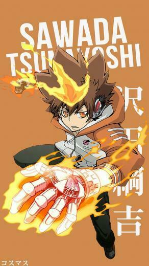 Sawada Tsunayoshi Korigengi Png