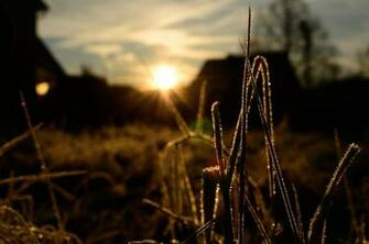 Beautiful Image From Ubuntu Wallpaper Contest