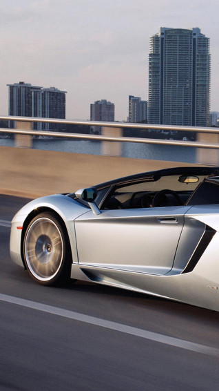 Lamborghini Aventador Roadster Pictures Videos