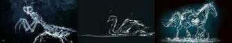 Triple Monitor Multi Multiple Screen Eau Water Art Animal Wallpaper