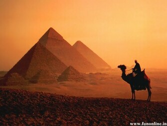 Camel Wallpaper Desert Vehicle Camels HD