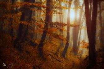 Surface De Mon Coeur Wallpaper