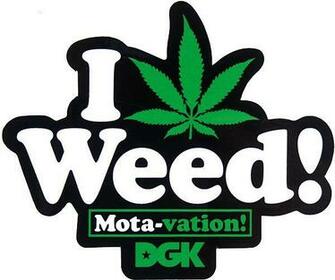 Dgk Mota Vation Skate Sticker