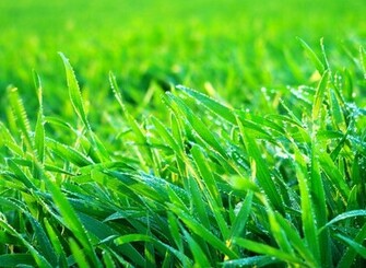 Wallpaper Description From Acer A200 Login To