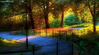 Nature Wallpaper HD