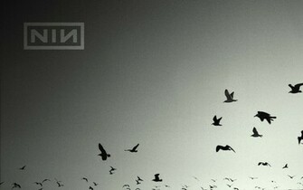 Nine Inch Nails Desktop Wallpaper