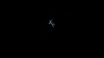 Gravity Wallpaper