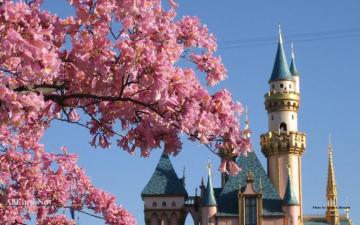 Disneyland HD Wallpaper Net