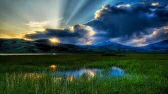 Summer Nights HDq Wallpaper