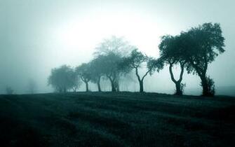 Misty Wallpaper