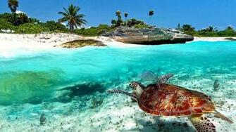 Playa Del Carmen Y Riviera Maya Gondrand Viajes