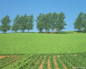 Nature Wallpaper Blue Sky And White Cloud