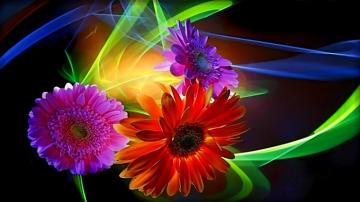 Cool Abstract Flower Wallpaper HD Net
