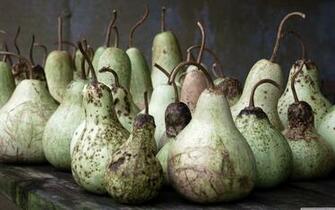 Gourds Wallpaper