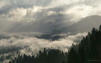 Misty Wallpaper Pack Collection