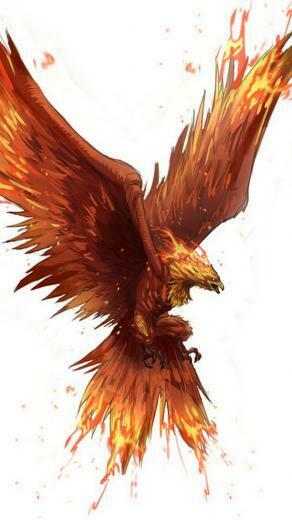 Phoenix HD Wallpaper For Android
