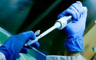 Displaying Image For Microbiology Wallpaper