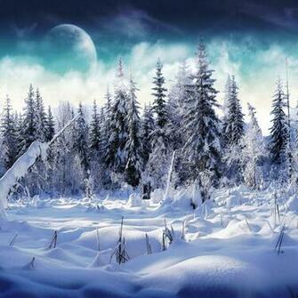 S Of The Winter Woods iPad Wallpaper