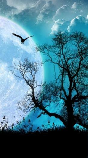 Fantasy Tree And Moon Mobile Phone Wallpaper X HD