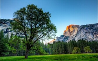 Archive Mac Wallpaper Yosemite For Macs