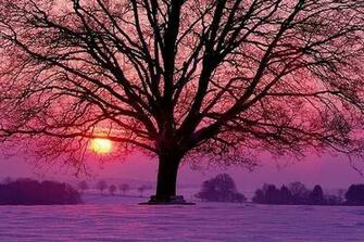 Sunset Desktopnexus