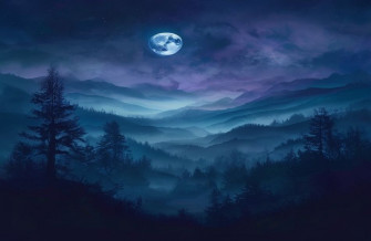 Anonymous HD Wallpaper