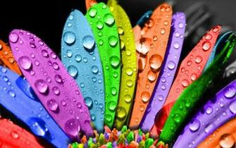Nice Wallpaper Colorful Net