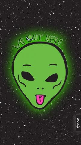 Zumiez Stash Wallpaper On