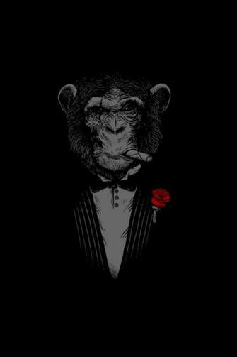 Chimpanzee Cigars Rose Mobile Wallpaper Mobiles Wall