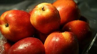 Apple Fruit Wallpaper Jpg