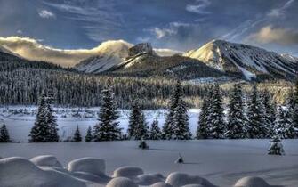 Snow Winter Trees Wallpaper Background Ultra HD 4k