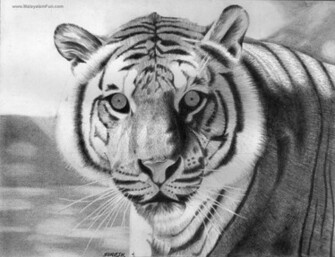 Pencil Drawings Wallpaper Picswallpaper