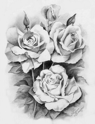 Fashion And Art Trend Pencil Drawing