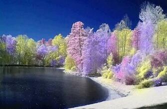 Some Cool Amazing Wallpaper Desktop Photos Mobile Pics