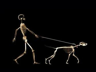 Funny Bon Man Holding Bone Dog Wallpaper