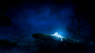 Ori And The Blind Forest Widescreen Desktop Wallpaper