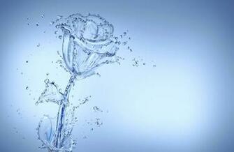 Cool HD Flower Wallpaper Pictures In High Definition Or