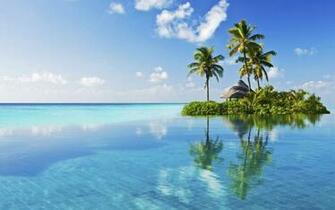 Palm Tree Beach Wallpaper Image Gallery