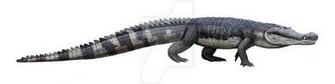 Deinosuchus By Olorotitan