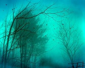 Mist Wallpaper Stock Photos