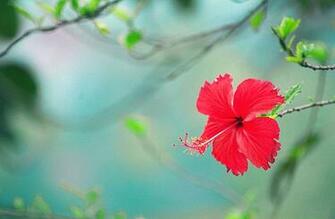 HD Wallpaper Background Image Love Sky Sadness Feeling